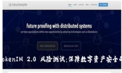 深入解析TokenIM 2.0 风险测