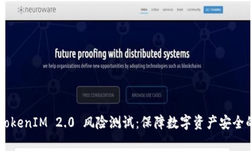 深入解析TokenIM 2.0 风险测试：保障数字资产安全的最佳实践
