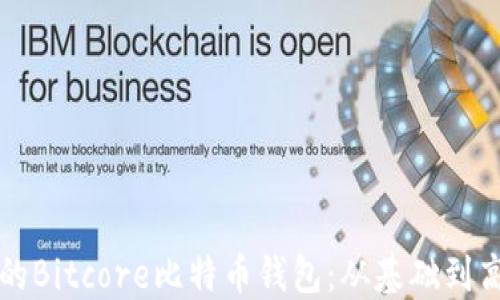 
如何搭建自己的Bitcore比特币钱包：从基础到高级的全面指南