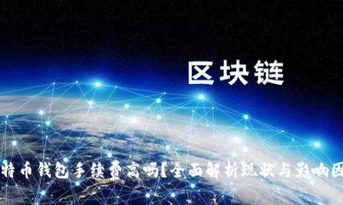 比特币钱包手续费高吗？全面解析现状与影响因素