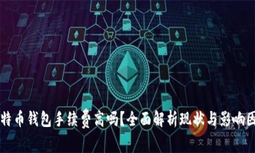 比特币钱包手续费高吗？全面解析现状与影响因素