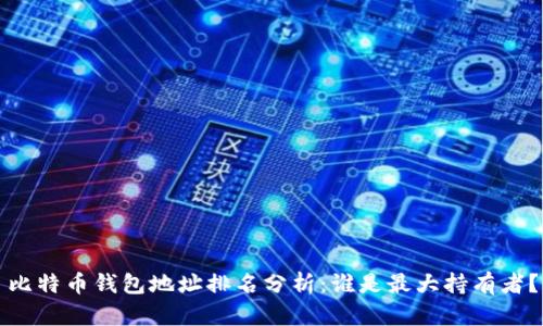 比特币钱包地址排名分析：谁是最大持有者？