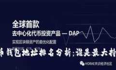 比特币钱包地址排名分析