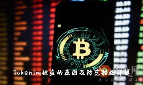 Tokenim被盗的原因及防范措施详解