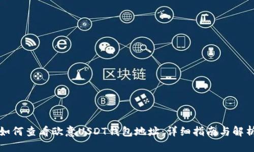 如何查看欧意USDT钱包地址：详细指南与解析