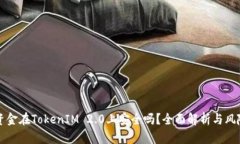 大额资金在TokenIM 2.0上安全吗？全面解析与风险防
