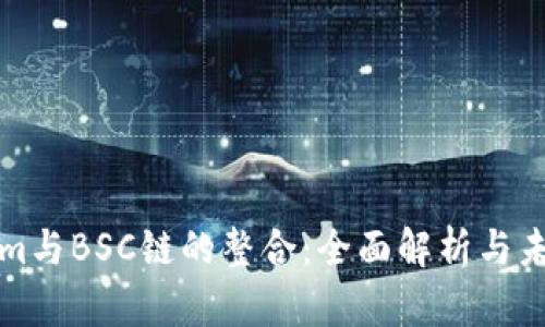 Tokenim与BSC链的整合：全面解析与未来展望