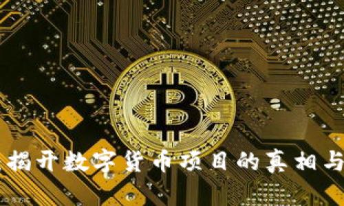 Tokenim：揭开数字货币项目的真相与骗局解析