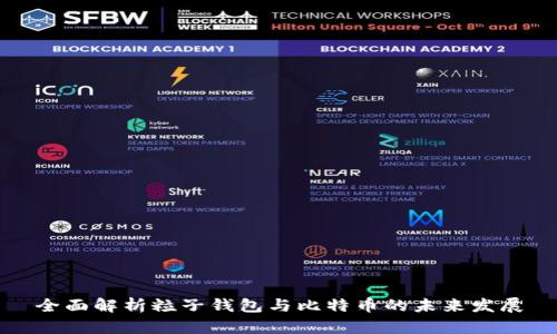全面解析粒子钱包与比特币的未来发展