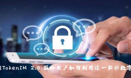 : 深度解读TokenIM 2.0：国外用户如何利用这一新兴数字资产平台？