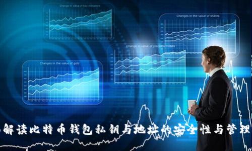 全面解读比特币钱包私钥与地址的安全性与管理技巧