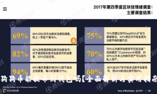狗狗币能提币到钱包吗？全面解析与实用指南