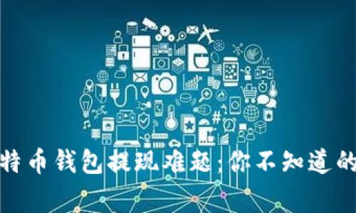 破解比特币钱包提现难题：你不知道的那些事