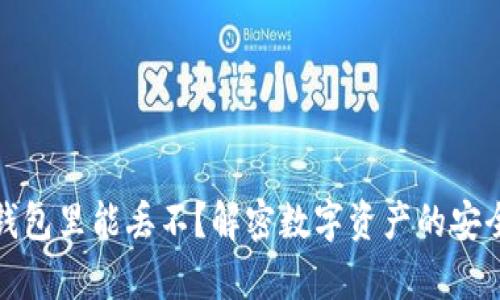 狗狗币放钱包里能丢不？解密数字资产的安全存储之道