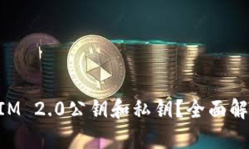 什么是TokenIM 2.0公钥和私钥？全面解析及应用指南