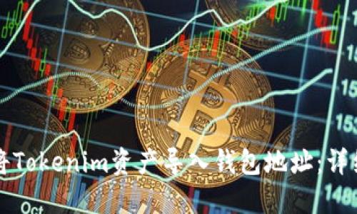 如何将Tokenim资产导入钱包地址：详细指南