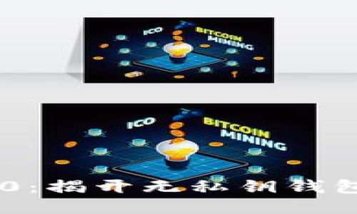 Tokenim 2.0：揭开无私钥钱包的神秘面纱