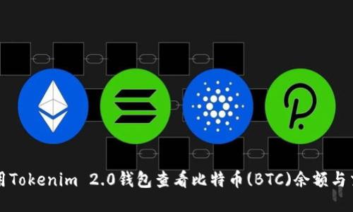 如何使用Tokenim 2.0钱包查看比特币(BTC)余额与交易记录