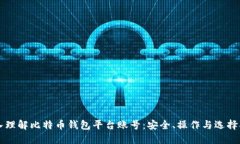 深入理解比特币钱包平台账号：安全、操作与选