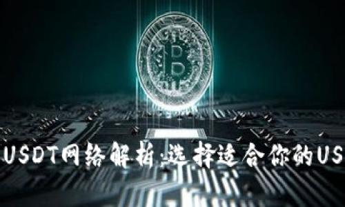 TP钱包里的USDT网络解析：选择适合你的USDT传输方案
