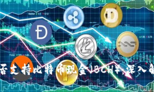 以太坊钱包是否支持比特币现金（BCH）：深入解析与使用指南
