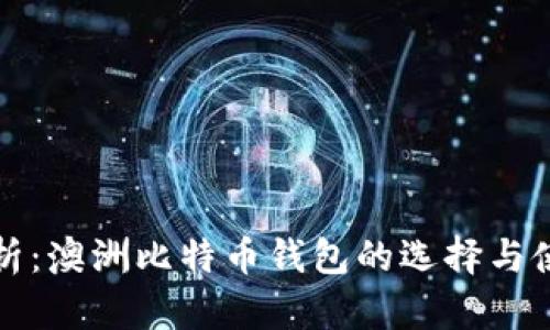 全面解析：澳洲比特币钱包的选择与使用指南