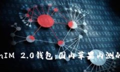 探索TokenIM 2.0钱包：国内苹果内测的全面解析