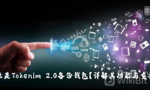 什么是Tokenim 2.0备份钱包？详解其功能与重要性