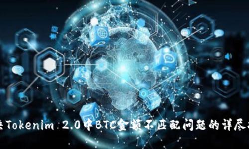 解决Tokenim 2.0中BTC金额不匹配问题的详尽指南