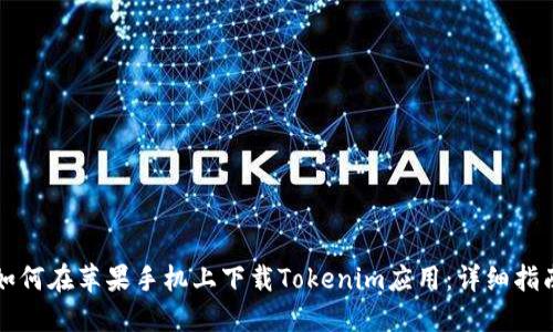 如何在苹果手机上下载Tokenim应用：详细指南