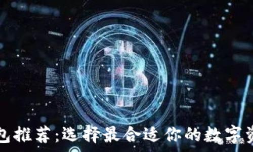   
  瑞波币钱包推荐：选择最合适你的数字资产存储方案