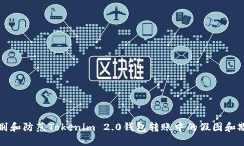 如何识别和防范Tokenim 2.0钱包转账中的假图和欺诈行为