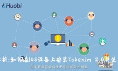 全面解析：如何在iOS设备